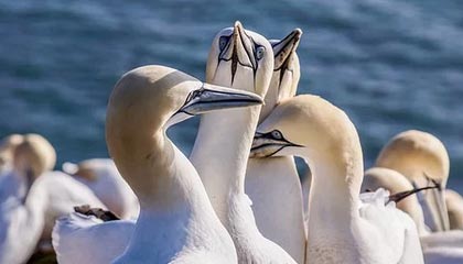 詹姆斯团队安保骂球迷:你们这些烦人的家伙快TM滚开